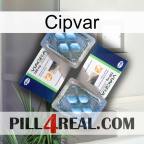 Cipvar viagra5